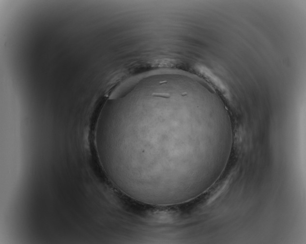 X0000094950209200712061258