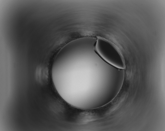 X0000094950211200712061258