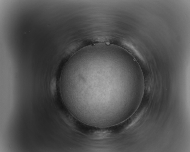 X0000094950213200712061258