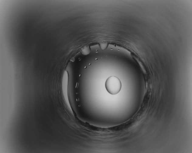 X0000094950215200712061258