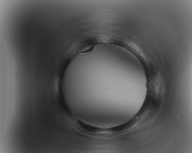 X0000094950217200712061258