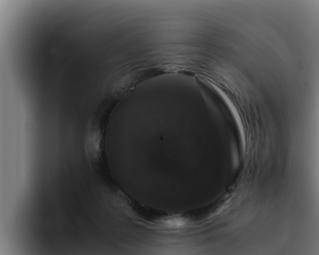 X0000094950219200712061258