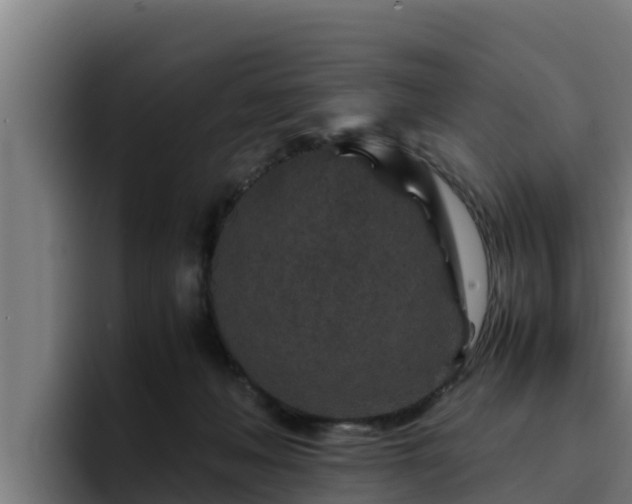 X0000094950222200712061258