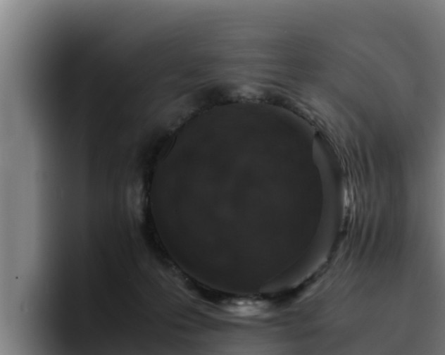 X0000094950223200712061258