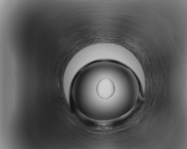 X0000094950225200712061258