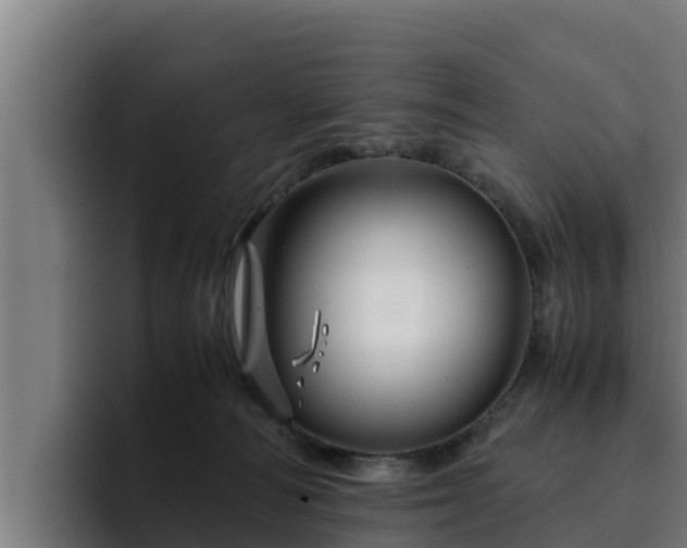 X0000094950226200712061258