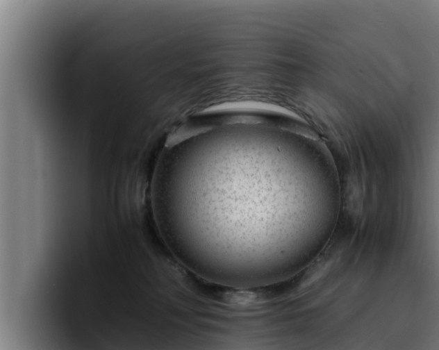 X0000094950230200712061258