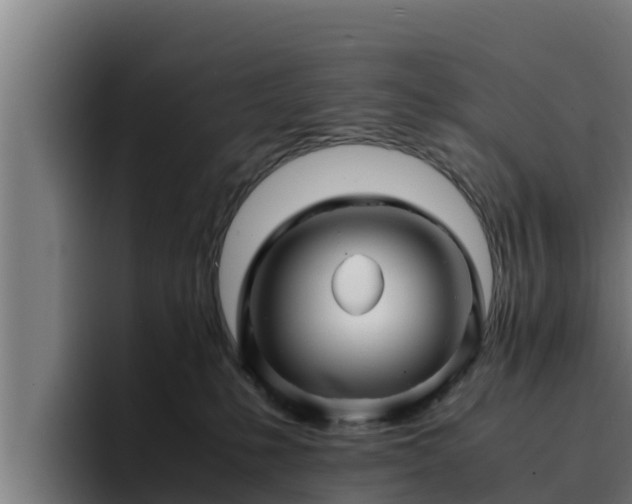 X0000094950231200712061258