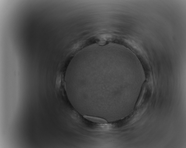 X0000094950233200712061258