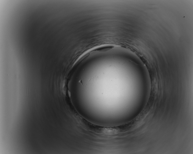 X0000094950234200712061258