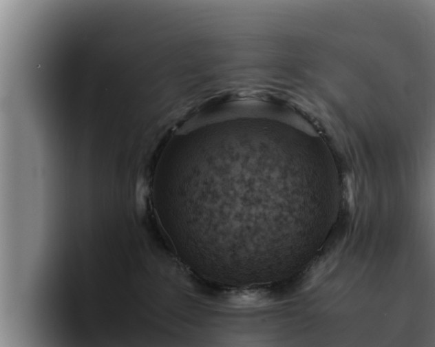 X0000094950235200712061258