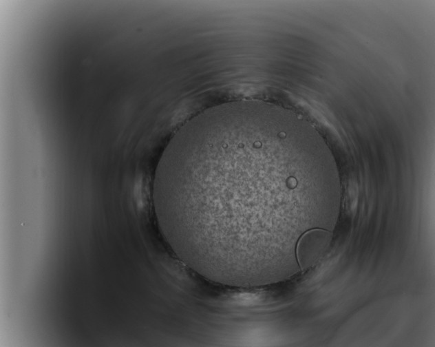 X0000094950236200712061258