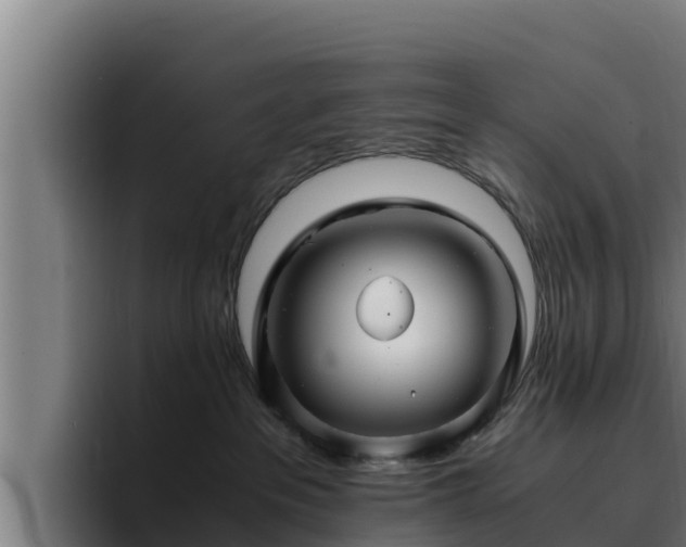 X0000094950237200712061258