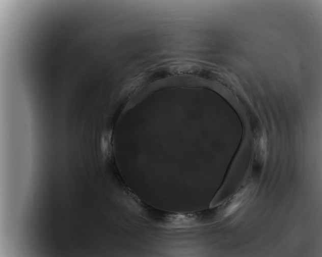 X0000094950239200712061258