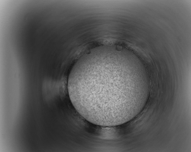 X0000094950240200712061258