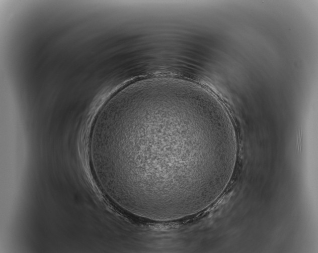 X0000094950241200712061257