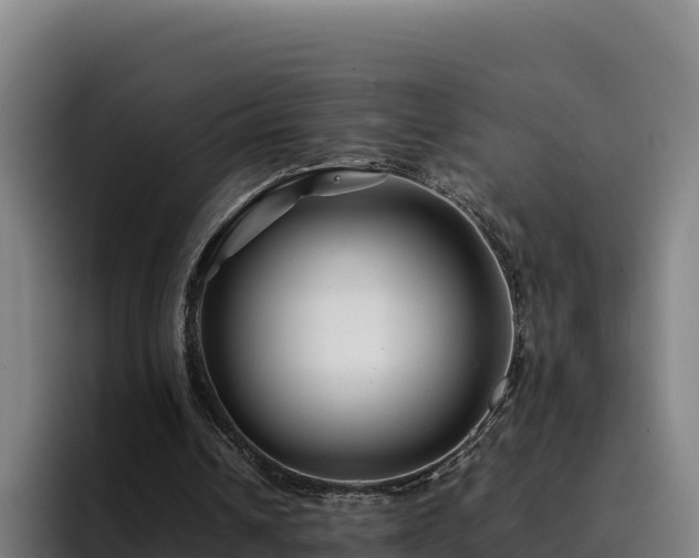 X0000094950242200712061257