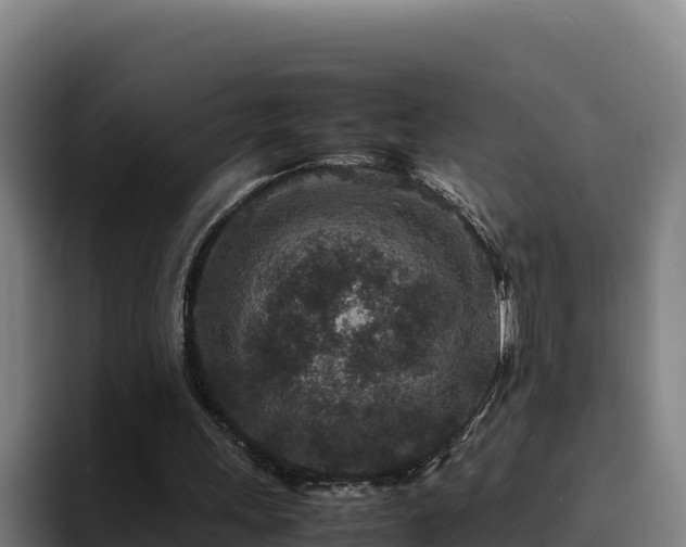 X0000094950243200712061257