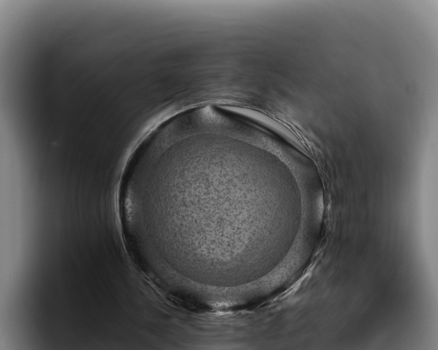 X0000094950244200712061257