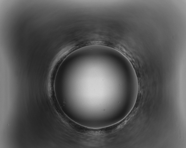 X0000094950245200712061257