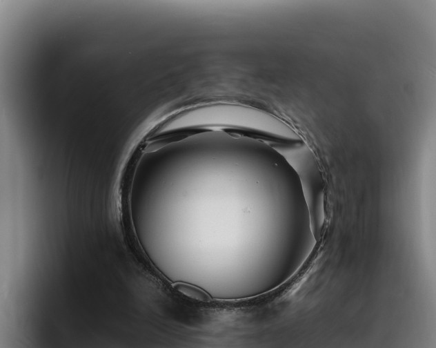 X0000094950246200712061257