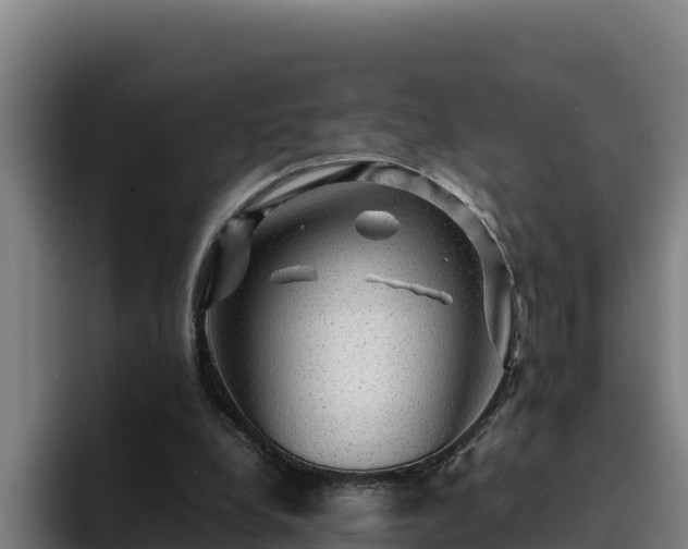 X0000094950248200712061257