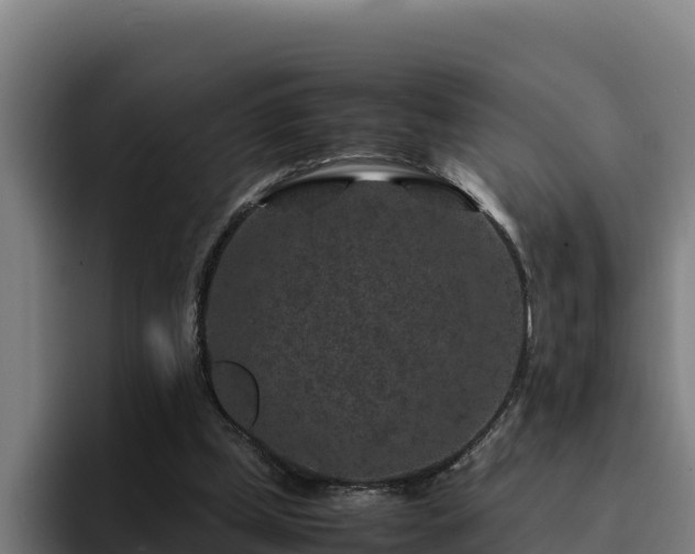 X0000094950249200712061257