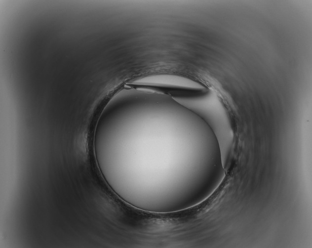 X0000094950250200712061257