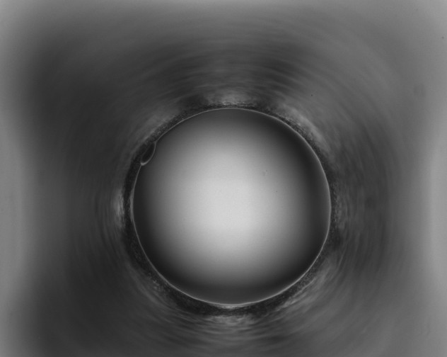 X0000094950251200712061257