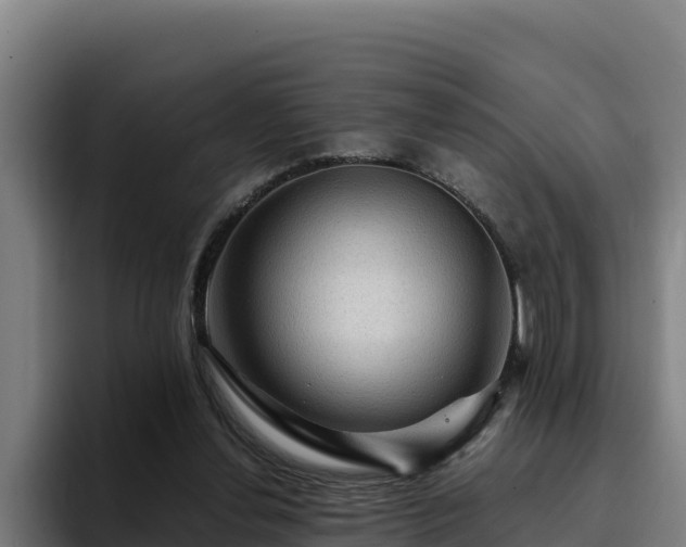 X0000094950252200712061257