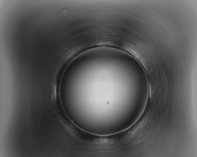 X0000094950253200712061257