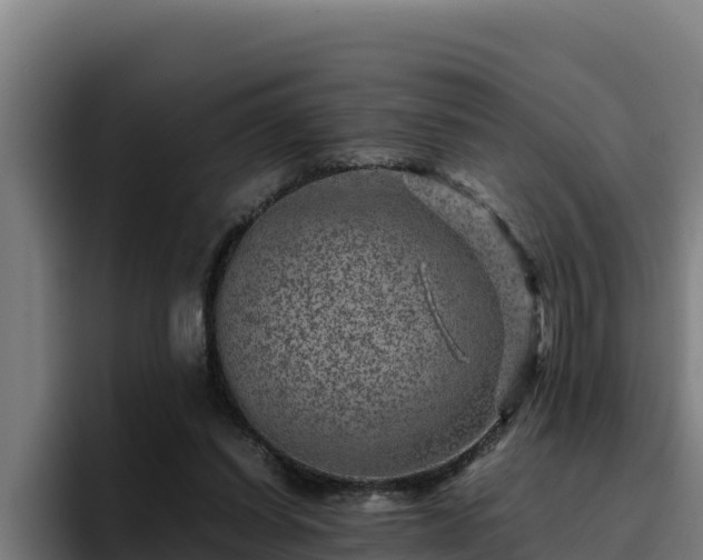 X0000094950254200712061257