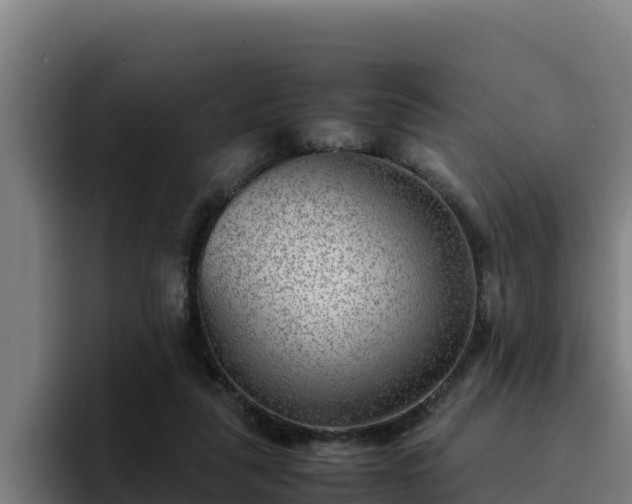 X0000094950259200712061257