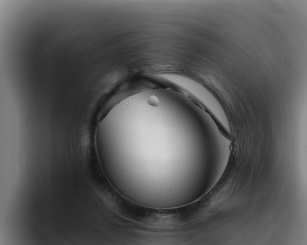 X0000094950260200712061257