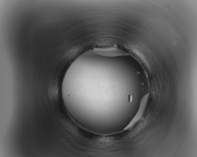 X0000094950261200712061257