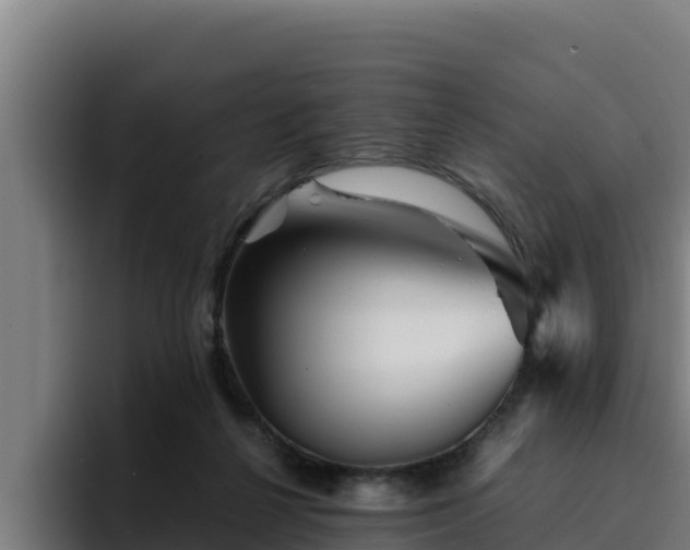 X0000094950264200712061257