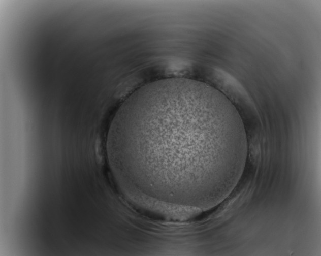 X0000094950270200712061257