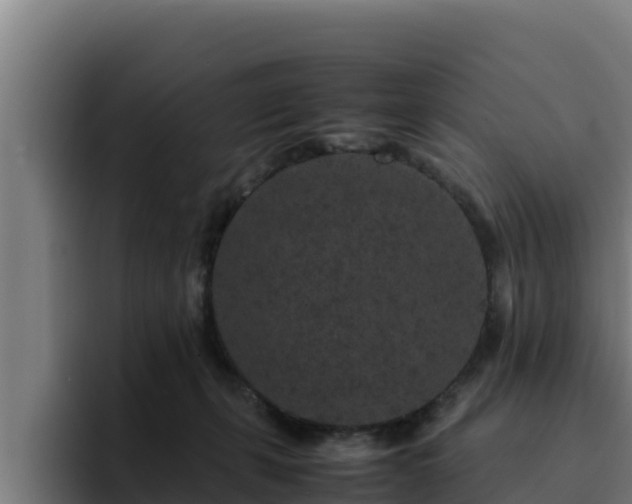 X0000094950271200712061257