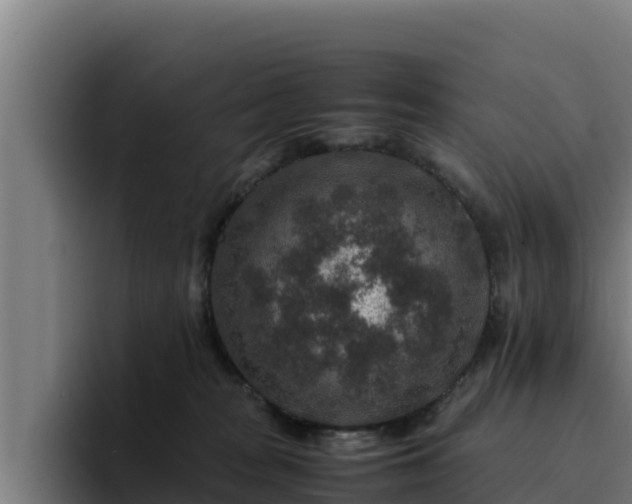 X0000094950277200712061257