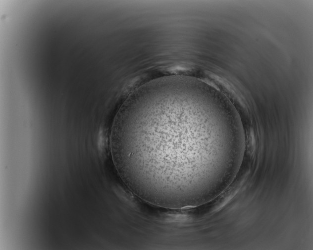 X0000094950284200712061257