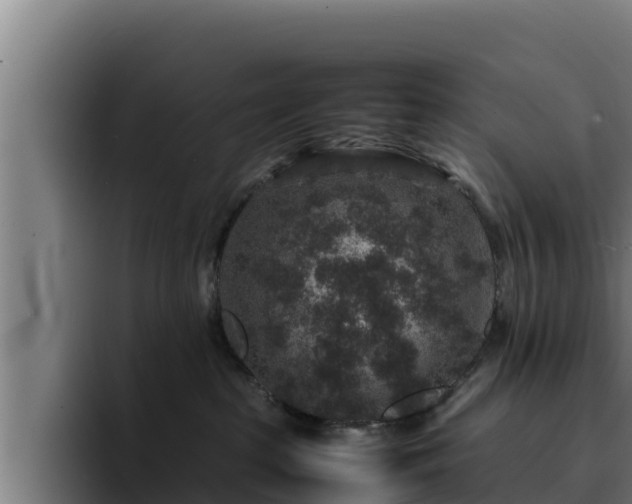 X0000094950285200712061257