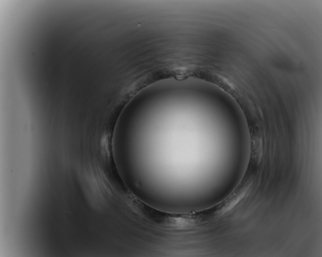 X0000094950286200712061257