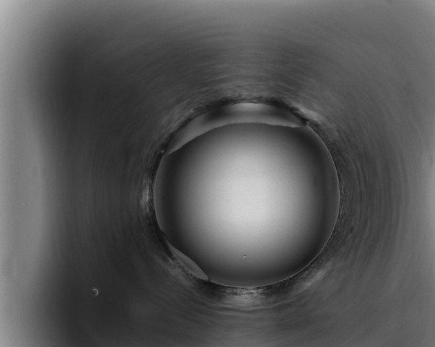 X0000094950288200712061258