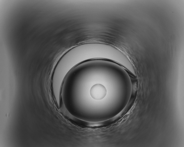 X0000094950289200712061257