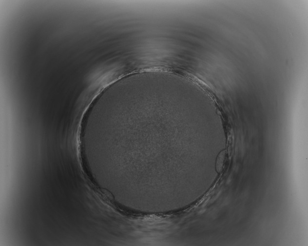 X0000094950290200712061257