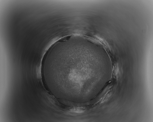 X0000094950292200712061257