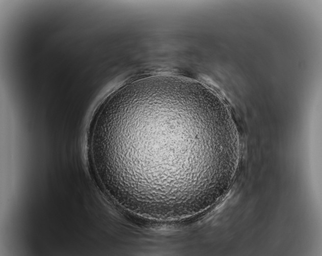 X0000094950293200712061257