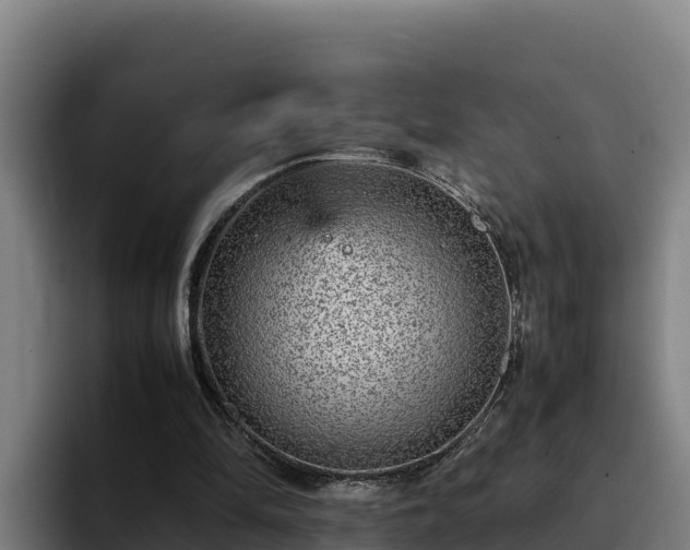 X0000094950294200712061257