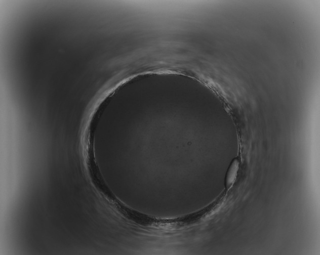 X0000094950295200712061257