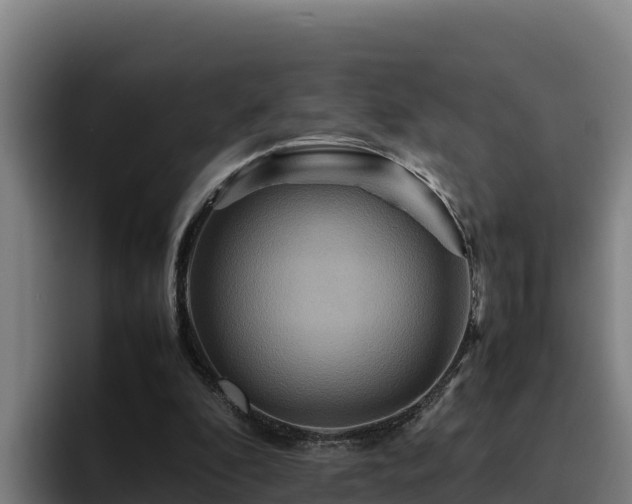 X0000094950296200712061257